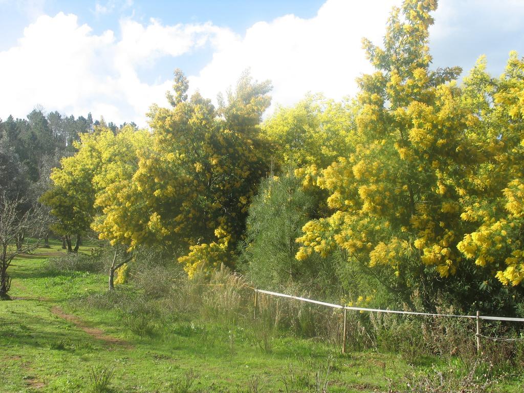 Monte Da Gravita Ribeira do Salto Rum bild