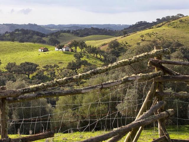 Monte Da Gravita Ribeira do Salto Exteriör bild